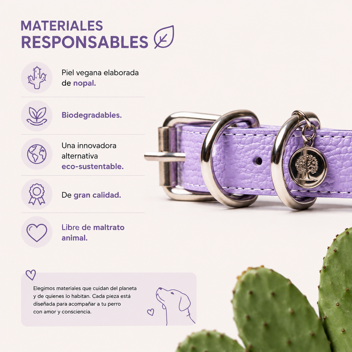 Collar Lila Amikoo