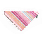 Kit Bandana y Collar Nube / Tok