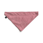 Kit Bandana y Collar Nube / Tok