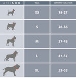 Kit Bandana y Collar Tundra / Sík