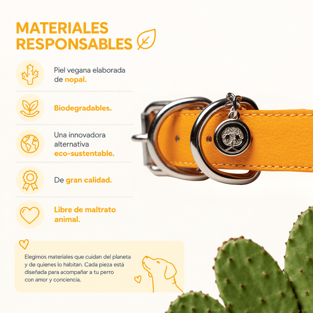 Collar Amarillo / K'on