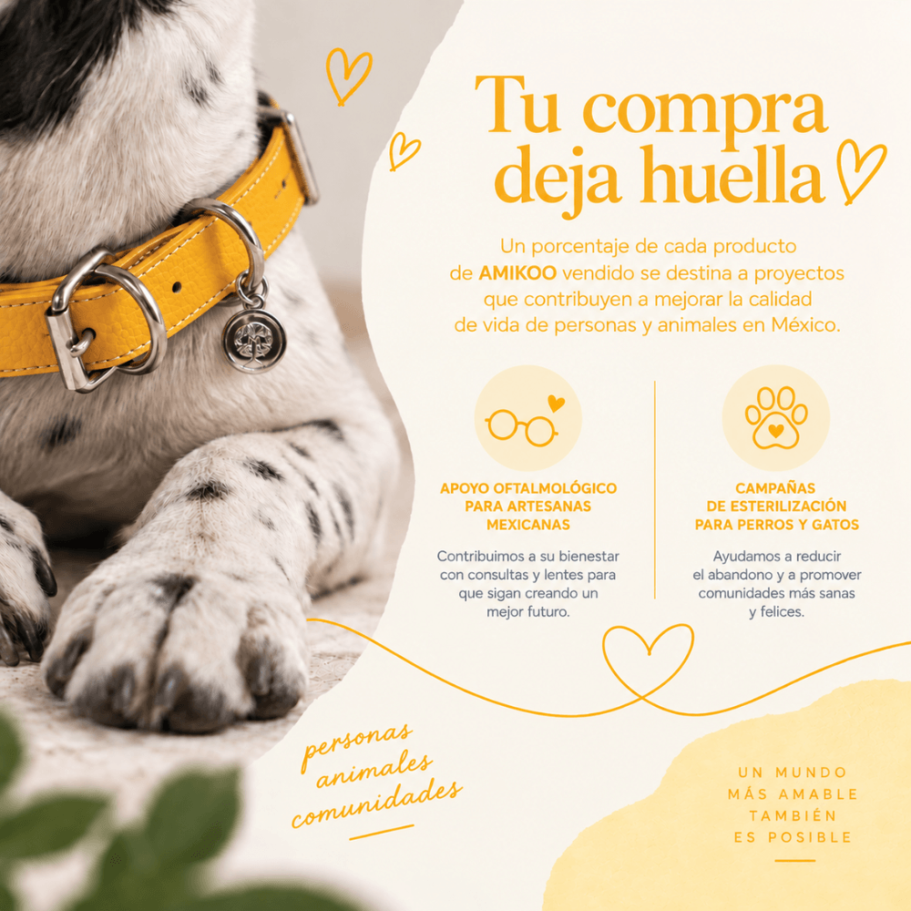 Collar Amarillo / K'on