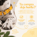 Collar Amarillo / K'on