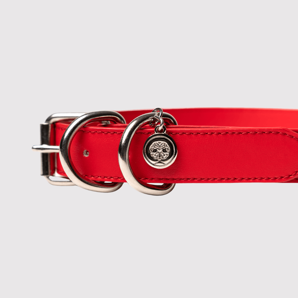 Collar Rojo / Tsoj
