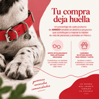 Collar Rojo / Tsoj