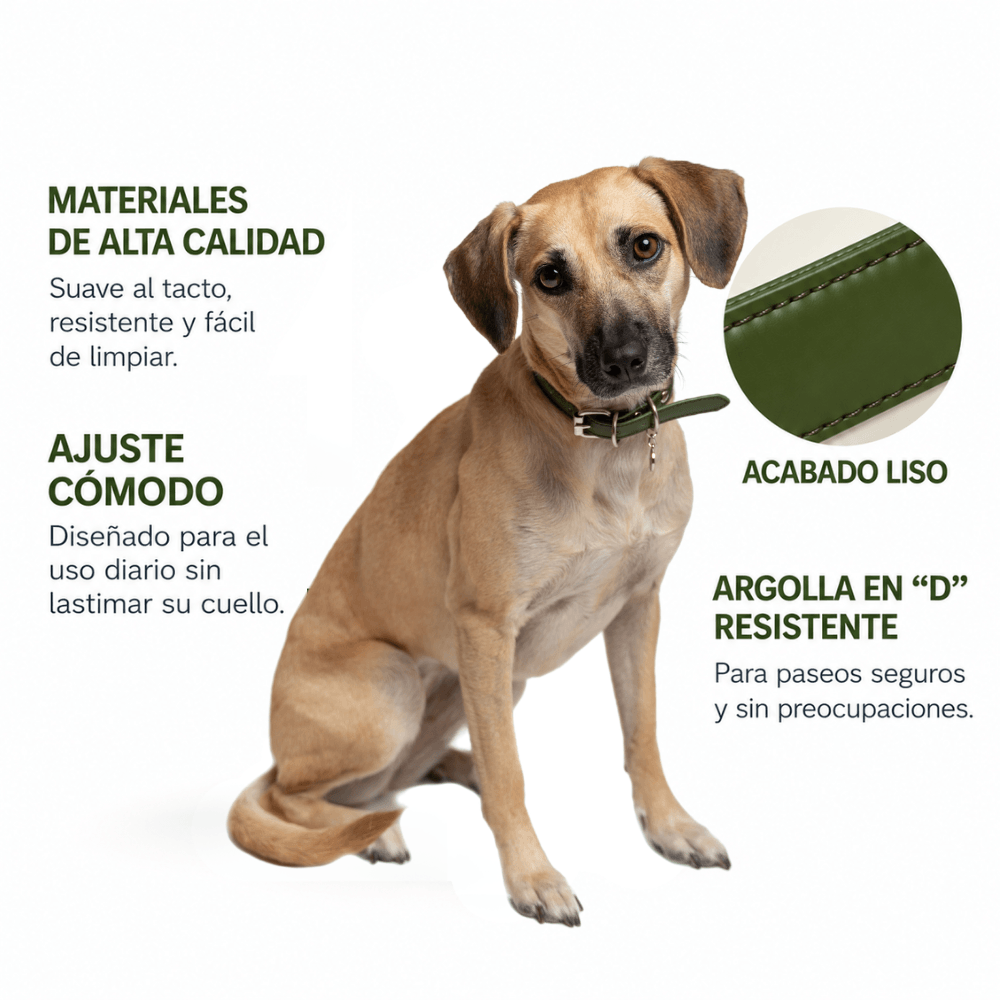 Collar Verde / Yox