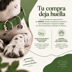 Collar Verde / Yox