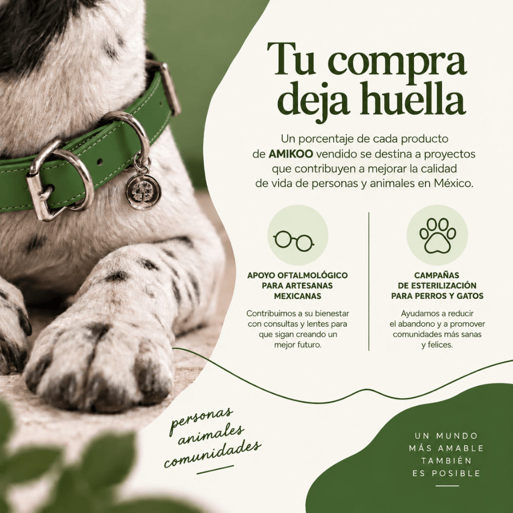 Collar Verde / Yox