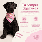 Bandana Nube / Tok