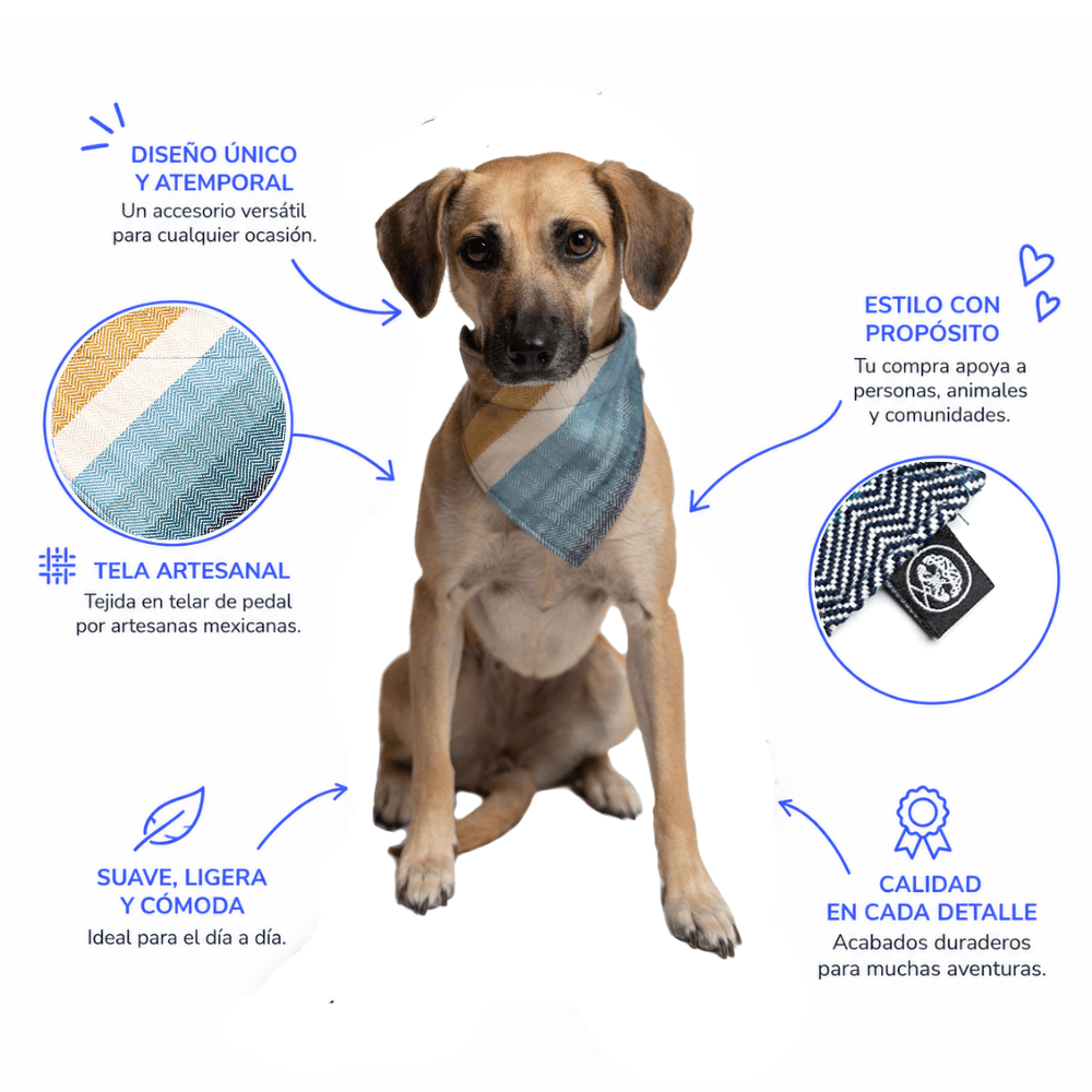 Bandana Océano / Nab
