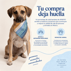 Bandana Océano / Nab