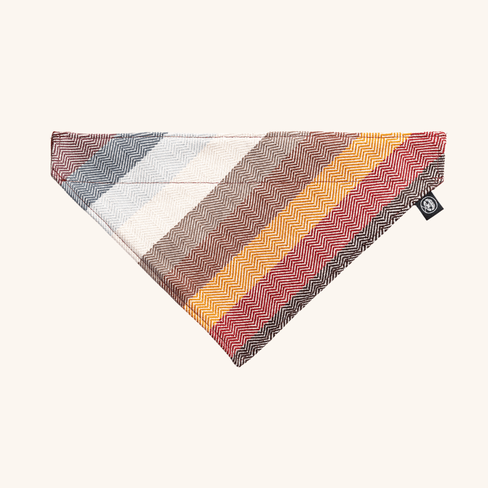 Bandana Desierto / Taki Osil
