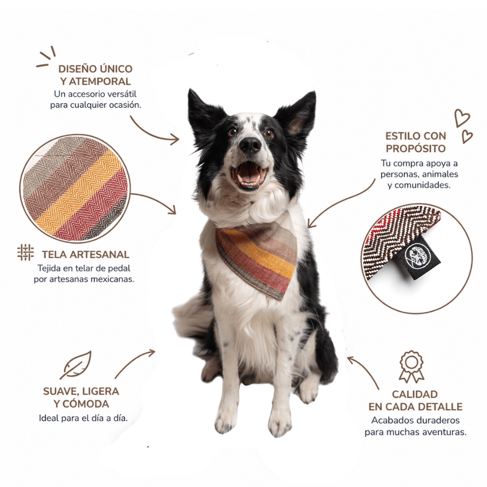Bandana Desierto / Taki Osil
