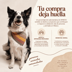 Bandana Desierto / Taki Osil