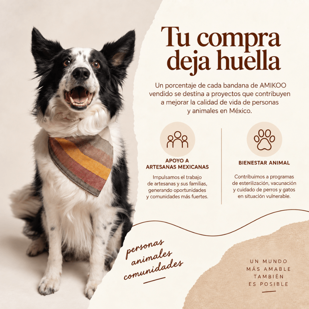 Bandana Desierto / Taki Osil