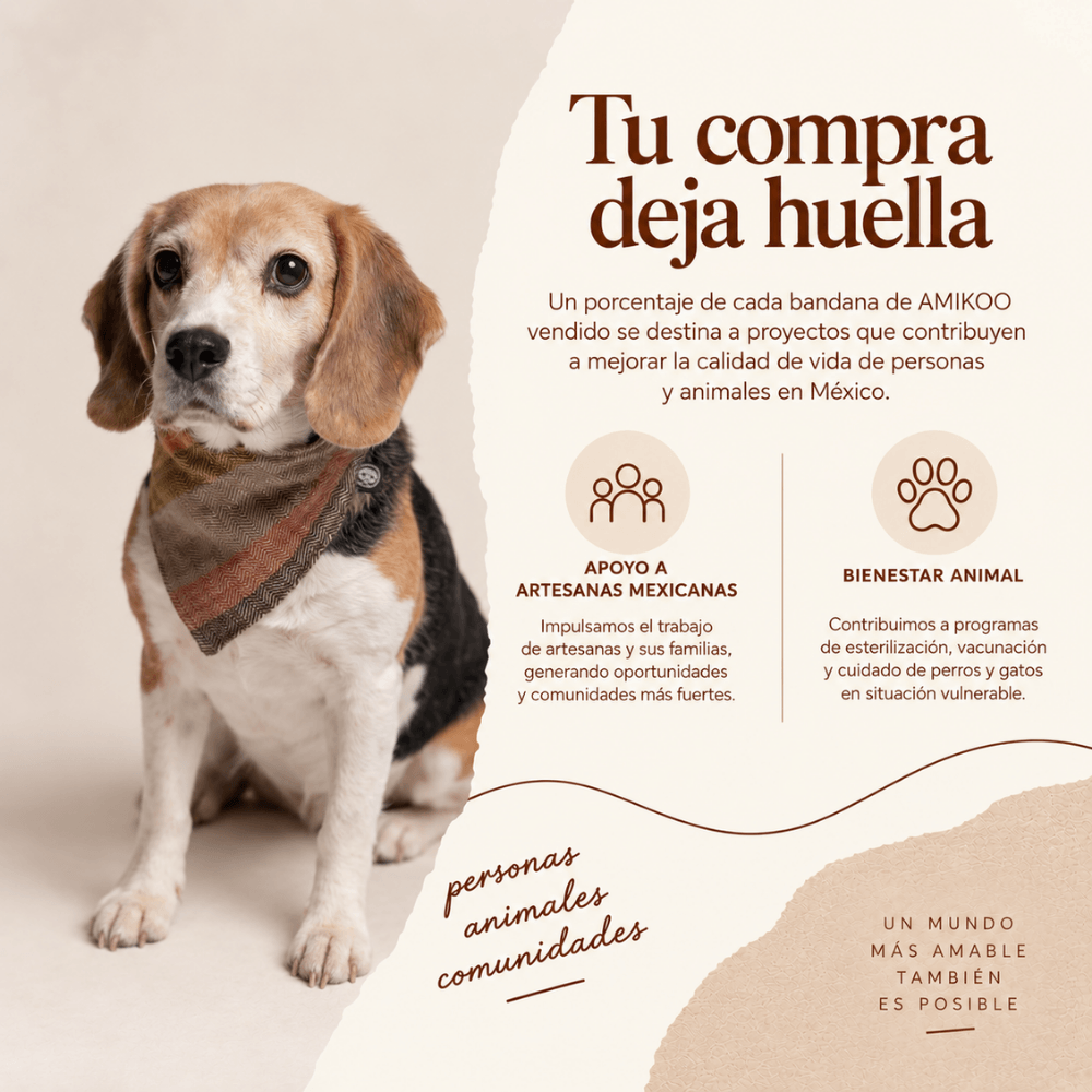 Bandana Montaña / Vits