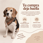 Bandana Montaña / Vits