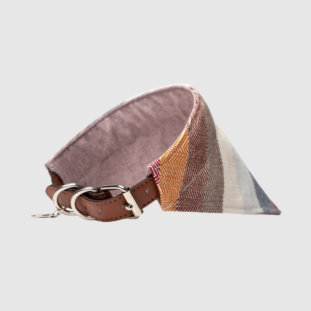Kit Bandana y Collar Tundra / Sík