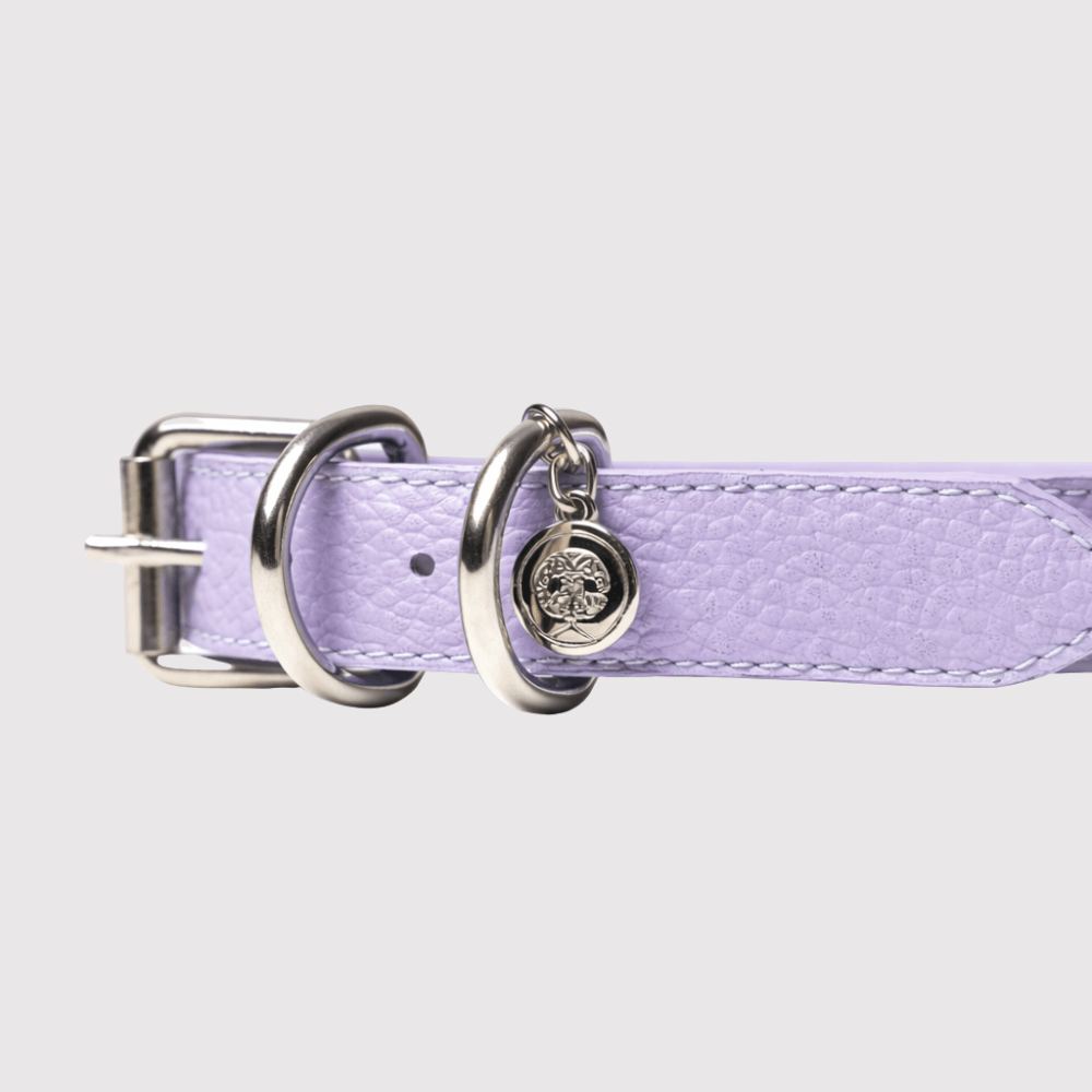 Collar Lila / Ik'ik' Lo'an