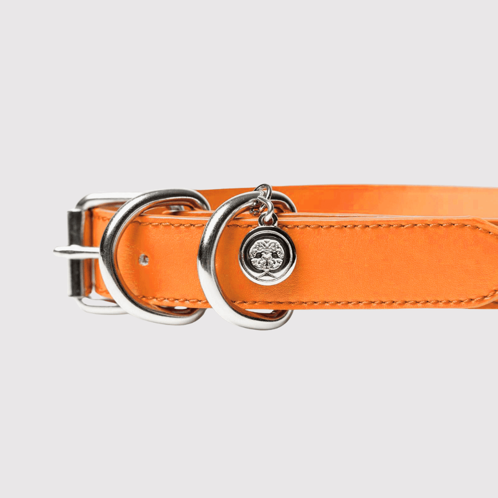 Collar Naranja / K'anal Tsoj