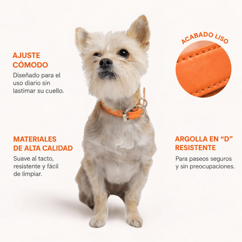 Collar Naranja / K'anal Tsoj