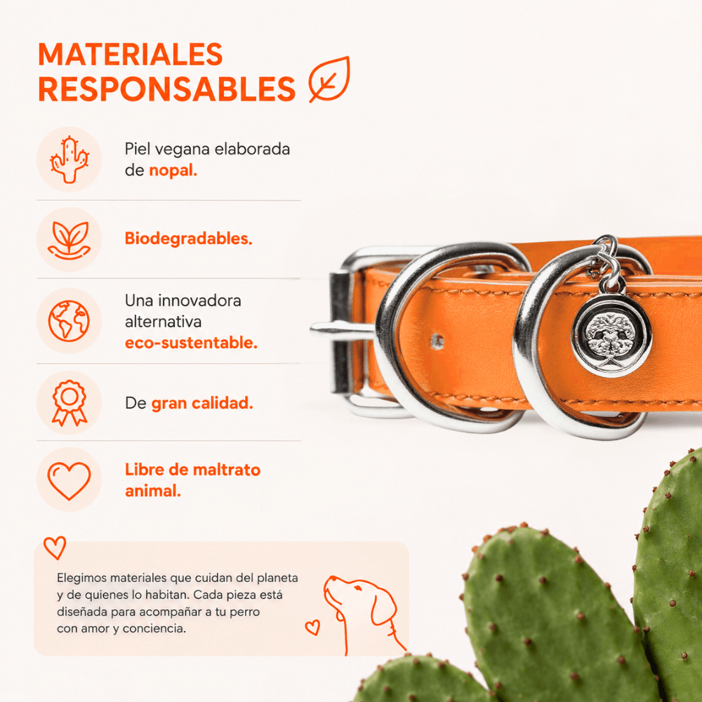 Collar Naranja / K'anal Tsoj