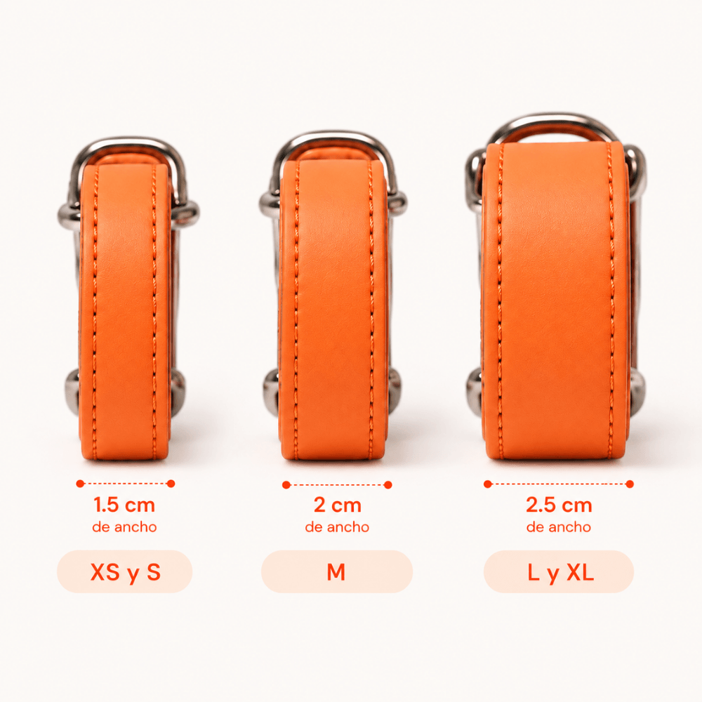 Collar Naranja / K'anal Tsoj