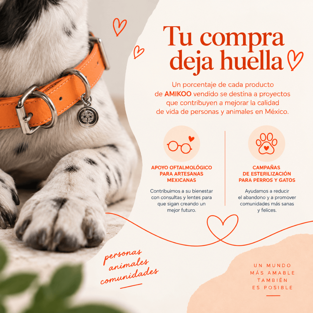 Collar Naranja / K'anal Tsoj