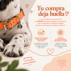 Collar Naranja / K'anal Tsoj
