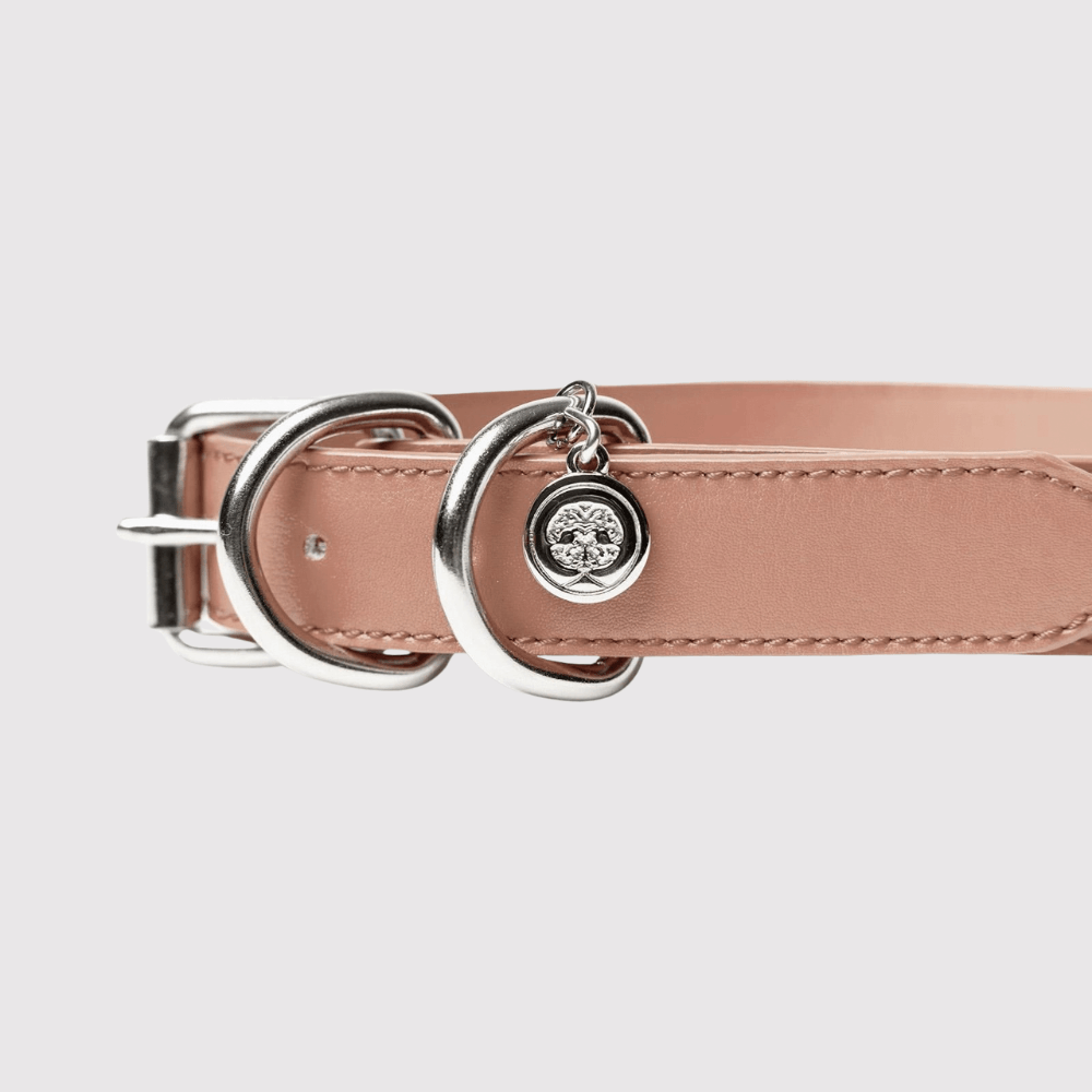 Collar Rosa / Sakil Tsoj